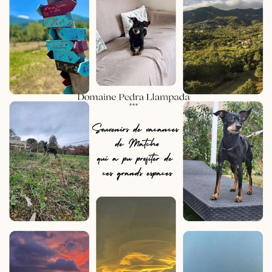 Villelongue-dels-Monts Domaine Pedra Llampada Gite Mer מראה חיצוני תמונה